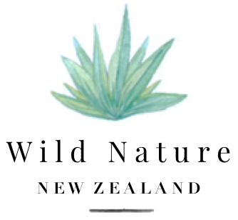 Wild Nature NZ