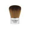 Kabuki Brush